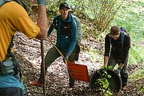 Männer stehen mit Schaufeln im Wald.